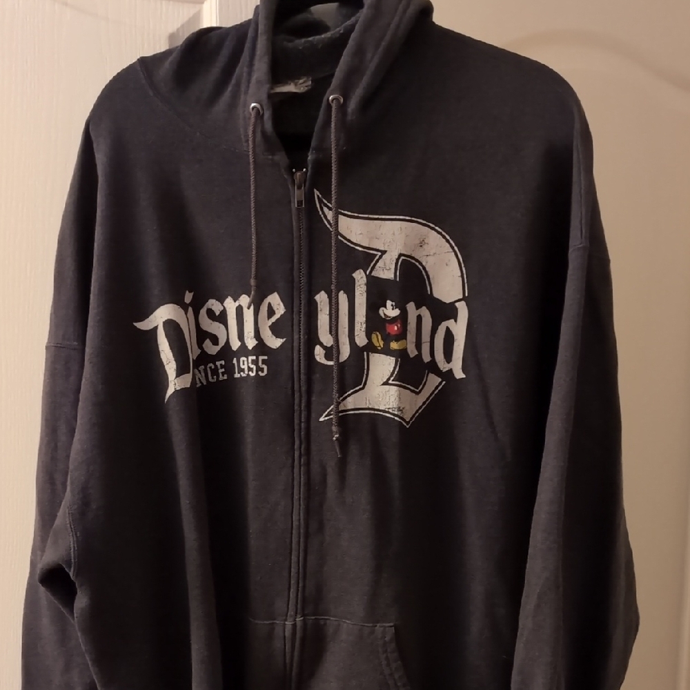 Disneyland Gray Zip-Up Hoodie